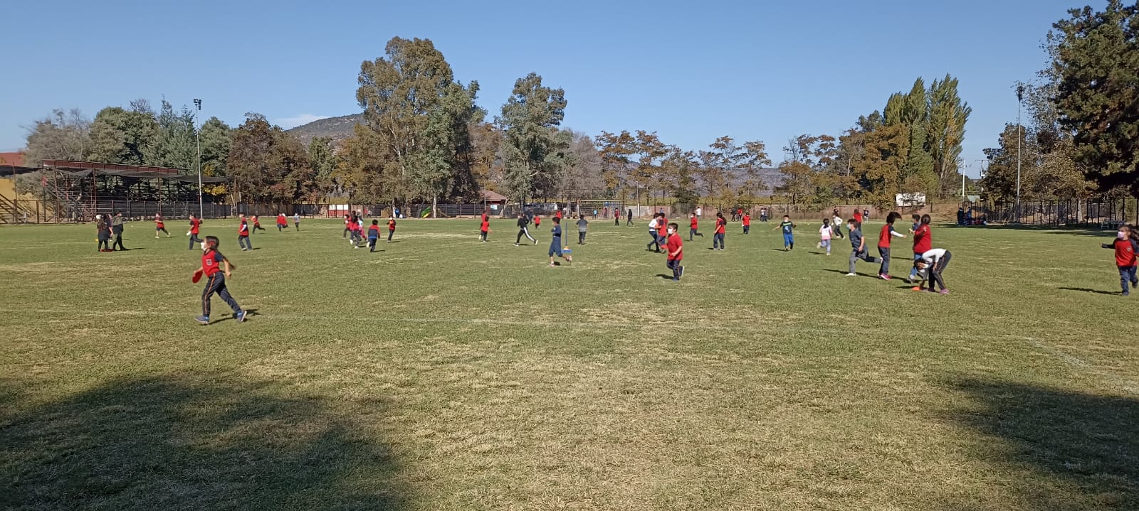 WhatsApp Image 2022-07-28 at 11.56.43 AM