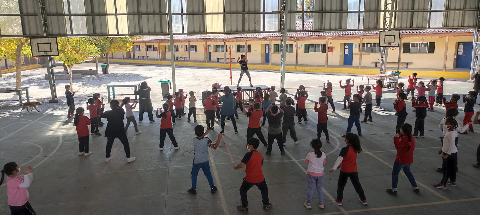 WhatsApp Image 2022-07-28 at 11.56.44 AM